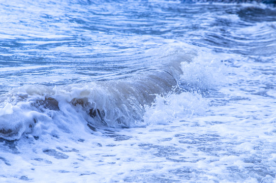 海螺