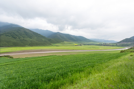 祁連山草原河流