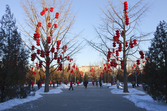 北京地壇
