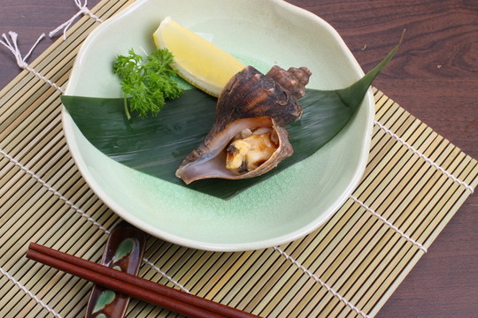海螺