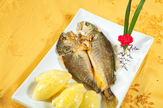 黃金鯉魚