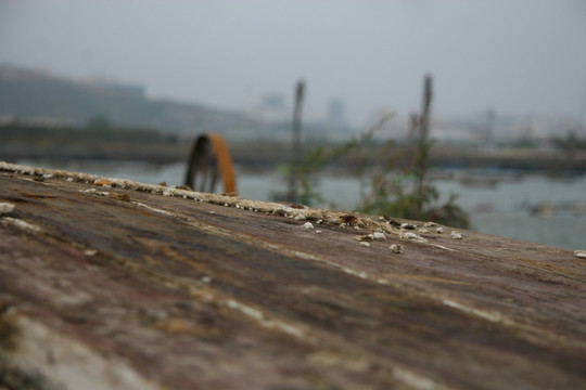 岸邊