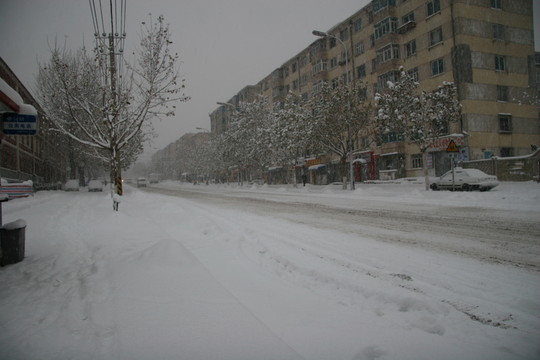 雪后大街