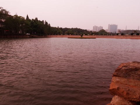 水景