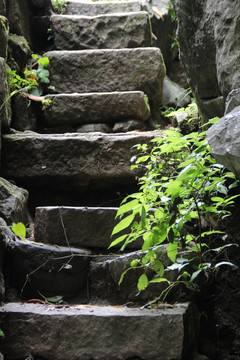 古階