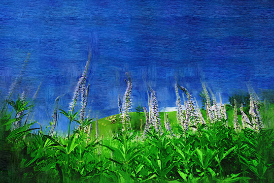 花野晴天 電腦油畫