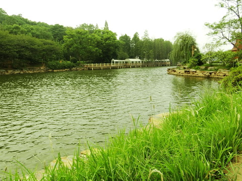 湖泊水景