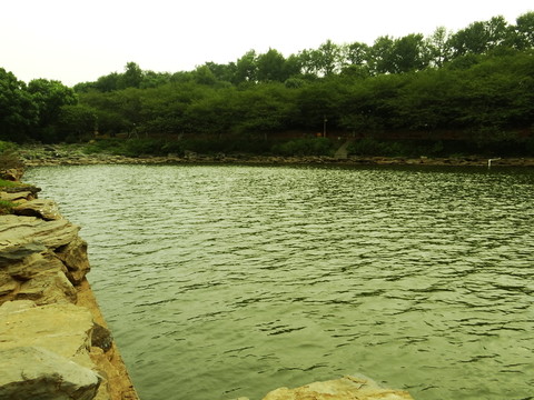 波光粼粼
