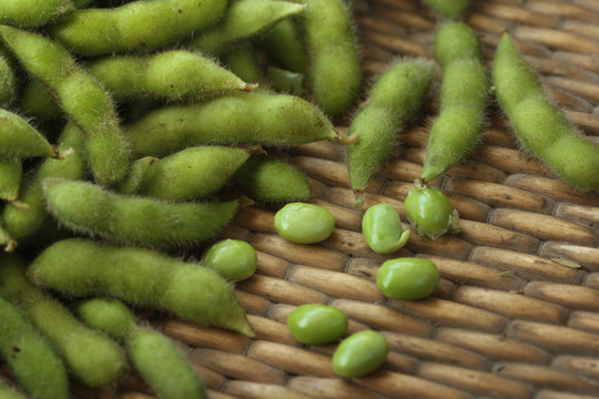大豆 毛豆 青豆 農(nóng)作物 生態(tài)