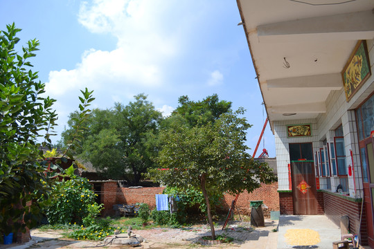 農(nóng)家小院