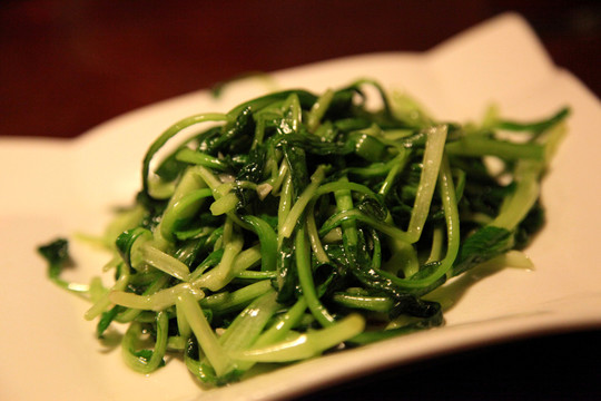 雞毛菜