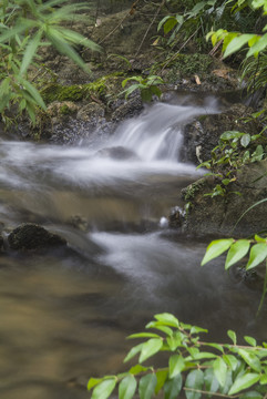 小溪流水