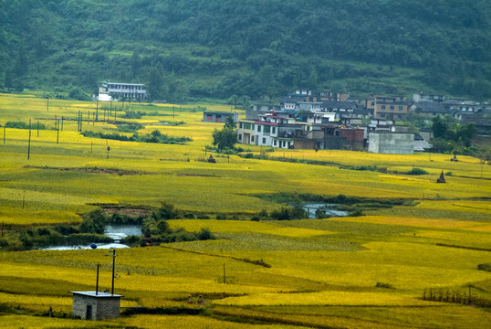 田園風(fēng)光