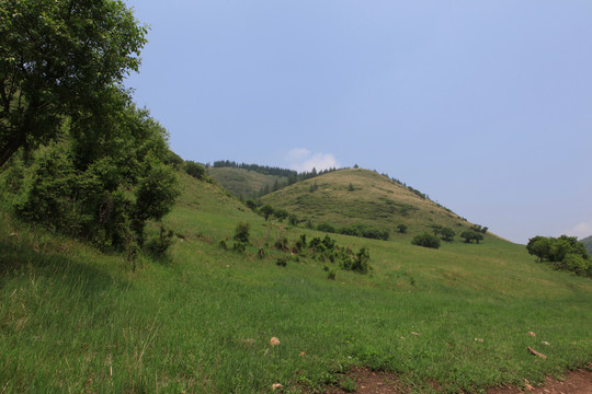 山坡