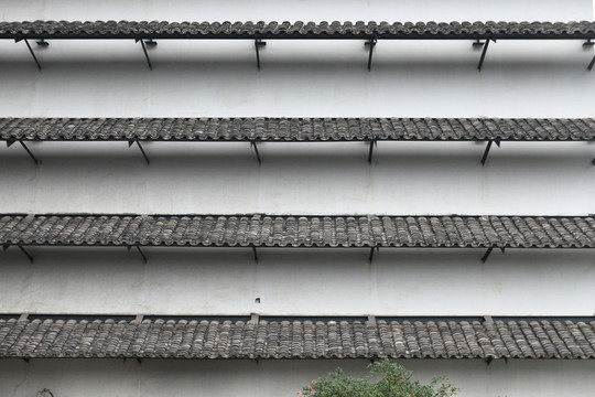 屋頂