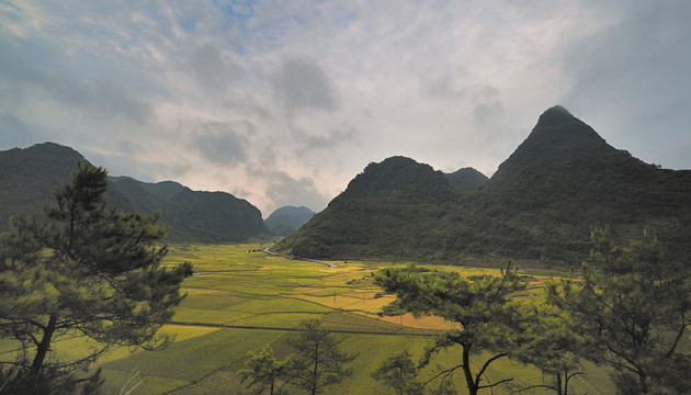 田園風(fēng)光