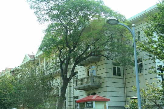 天津歷史風(fēng)貌建筑 天津建筑