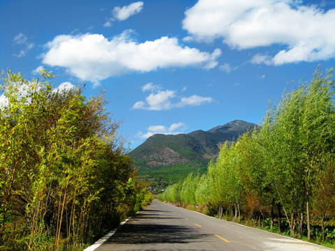 高原的公路