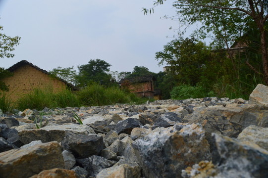 鄉(xiāng)間馬路