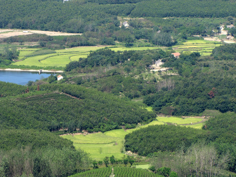 鳥瞰滁州施集田園山川