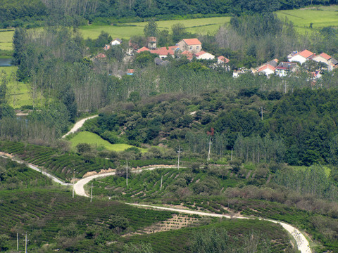 茶鄉(xiāng)山村