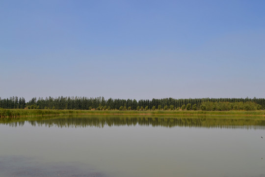 東明黃河森林公園