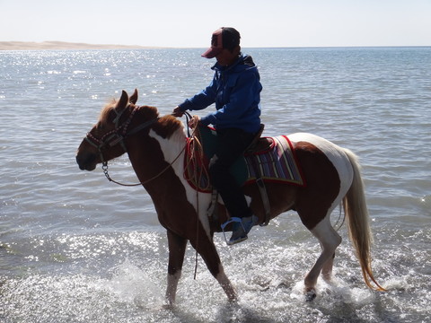 馭馬少年