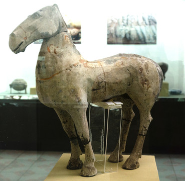 陶馬