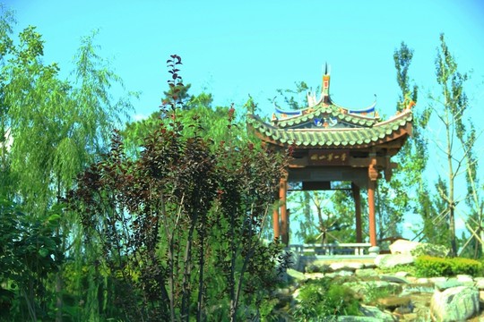 閩園 園博會(huì)閩園