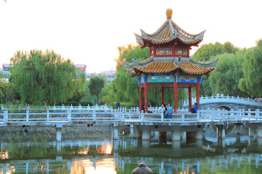 垂柳 睢寧公園湖亭臺