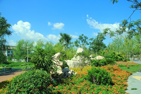 園博會(huì)綠樹(shù)碧草藍(lán)天白云