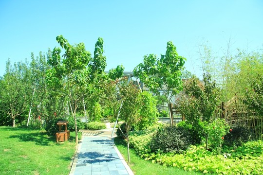 園博會小景