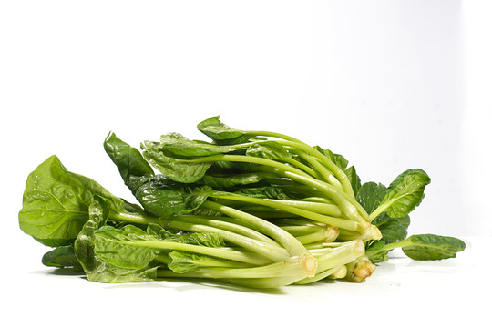 菠菜