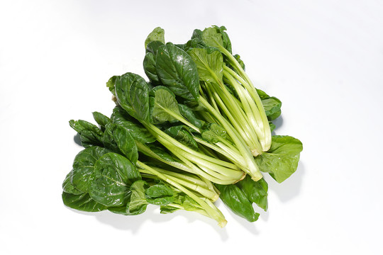 菠菜