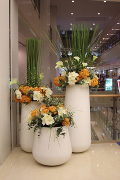 室內(nèi)植被