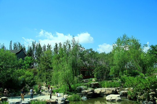 園博會景觀樹林流水