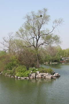 大明湖一角