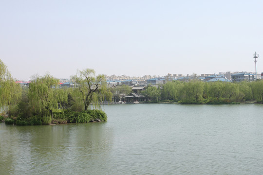 大明湖素材