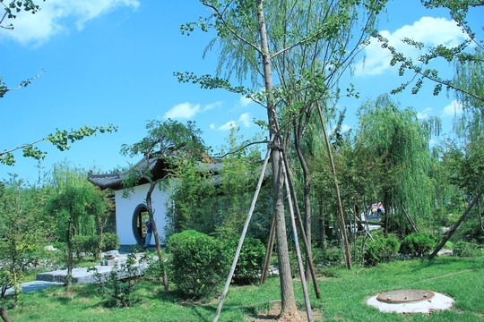 園博會(huì)合肥園
