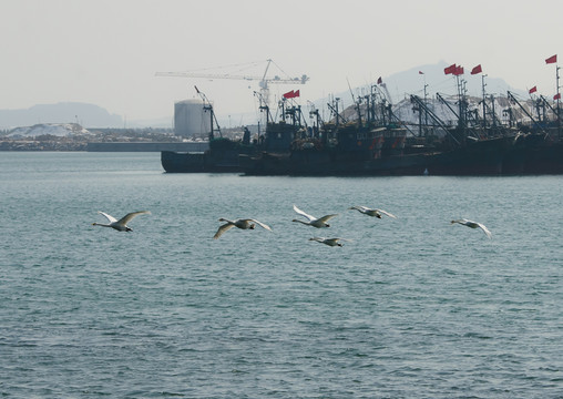 天鵝湖