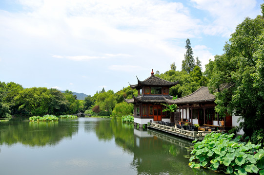 杭州 西湖 曲院風(fēng)荷 早晨