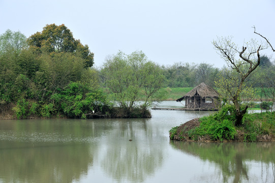 杭州 西溪 濕地 郊外 河流