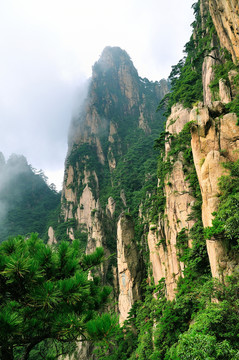 黃山奇峰