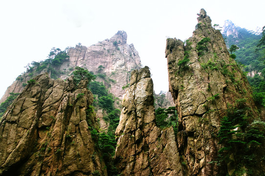 黃山奇峰