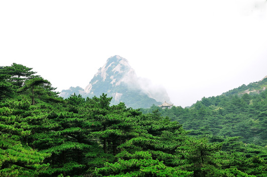 蓮花峰