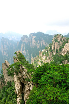 黃山奇峰