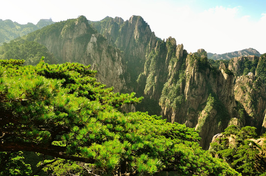 黃山奇峰