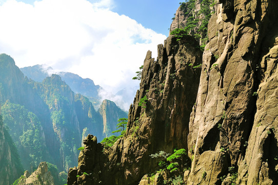 黃山奇峰