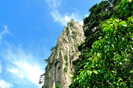 黃山奇峰