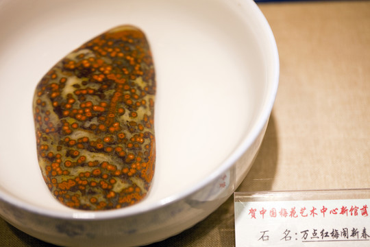 雨花石 瑪瑙石 觀賞石 幸運石